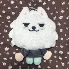 TXT プルバトゥ　ヨンモン　初期　初代　キーリング　スビン