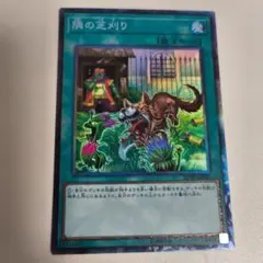 遊戯王 隣の芝刈り コレクターズ レア　CR　1枚