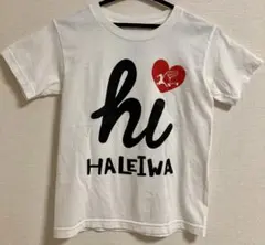 ハッピーハレイワ