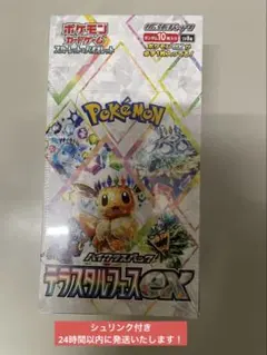 2025年最新】テラスタルフェスex BOXの人気アイテム - メルカリ