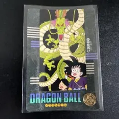 当時物ドラゴンボール ビジュアルアドベンチャー 133 神龍といっしょに
