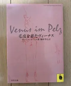 毛皮を着たヴィーナス ザッヘル＝マゾッホ 種村季弘訳 河出文庫