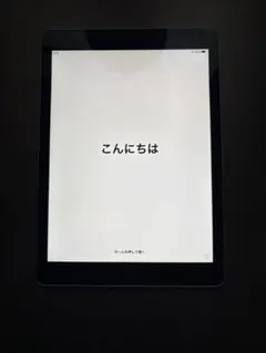 よ*1様 iPad air 2 64GB WiFiモデル シルバー 本体