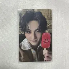 ENHYPEN THE SIN:VANISH トレカ ジョンウォン