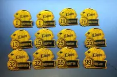 埼玉西武ライオンズ ユニフォーム形ピンバッジ 計12点