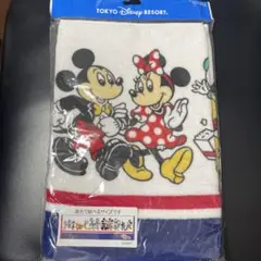 【ディズニーリゾート限定品】ディズニー　フェイスロングタオル