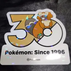 韓国 ポケモン 30周年 メガフェスタ ステッカー イーブイ 韓国限定】ポケモン30周年 メガフェスタ ステッカー ヤンチャム - メルカリ
