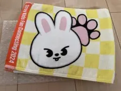 Stray Kids Lee Know タオル SKZ TOY WORLD