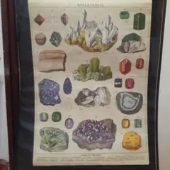 アメリカ　Cavallini カバリーニ ポスター鉱山　宝石　ポスター