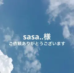 sasa..様 リクエスト 2点 まとめ商品