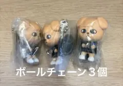 SKZOO つまんでつなげてますこっとでらっくす　パピーム3個セット