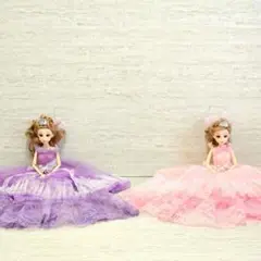 美品 非売品‼️ プリンセスドール 2体 セット ドレス付き