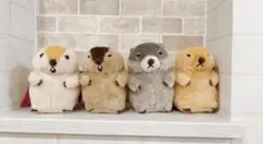 マーモットのもっとっと　LMC ぬいぐるみマスコットコンプセット4点