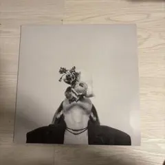 2026年最新】SUBLIM レコードの人気アイテム - メルカリ
