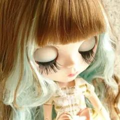 プラリネ様確認専用☆カスタムアイシードール