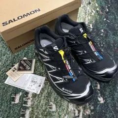 SALOMON / XT-6 GORE-TEX 27cmのサムネイル