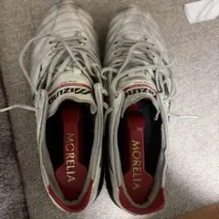 Mizuno Morelia ネオ3 25.5
