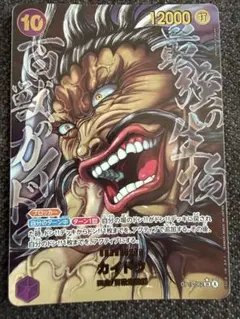 ワンピースカード 世界最強の戦士 カイドウ SRパラレル 原画 刃牙 sp