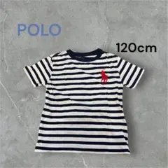 Polo Ralph Lauren ストライプ Tシャツ 120cm