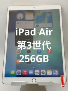 ipad Air3 256GB