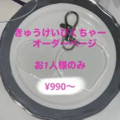 きゅーけいぴくちゃー　オーダーページ　お一人様のみ
