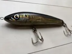 カーペンター ブルーフィッシュ60-170 ブルーフィッシュ60-170 カーペンター