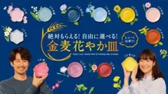 金麦　花やか皿5枚　⑦⑦⑨⑨⑨