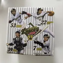 未使用品　阪神タイガース　藤川球児　プロモデルシリーズ　グローブ　気力一瞬　本塁厳禁　BRG-１３０７S　ザナックス 藤川球児 200セーブ達成記念モデル グラブ  | 阪神タイガース