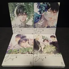 【コミック】木洩れ日のひと　1〜4巻　川端志季