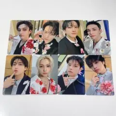 straykids hollow トレカ タワレコ 特典 8種8枚セット コンプ