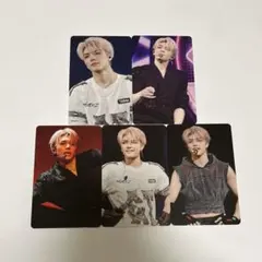 &TEAM 月狼 アジツ トレカ コンプ MAKI