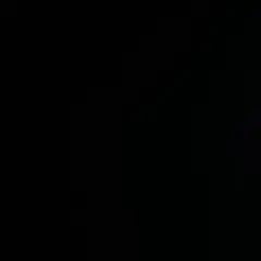 専用出品