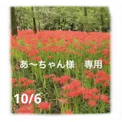 あ〜ちゃん様　専用