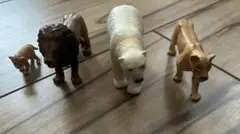 アニア陸の動物4点セット