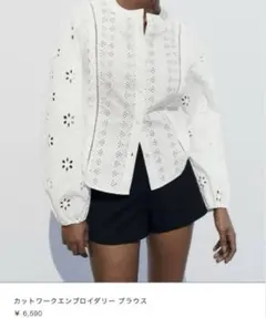 zara カットワーク