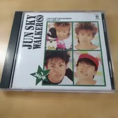 ジュン・スカイウォーカーズ　JUN SKY WALKER(S) ひとつ抱きしめて