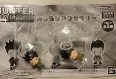 HUNTER × HUNTER めじるしアクセサリー ゴン