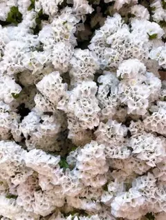 Emi様 リクエスト 3点 まとめ商品