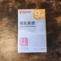 Item thumbnail for item 9c60c57d-cd67-4730-8ba6-29e31229cfe8