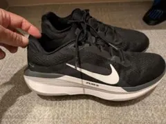 Nike スニーカー ブラック　ウィンフロー11のサムネイル