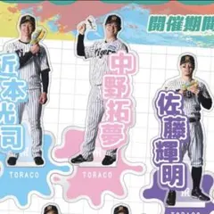 阪神タイガース 中野拓夢選手 アクリルスタンド TORACO 2026 ピンク