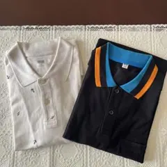 Item thumbnail for item 77c7d415-ee1c-4e48-8145-e4a97b7d6978