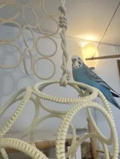 Item thumbnail for item fb411525-6e3f-4abc-a9e3-a91c854b347e