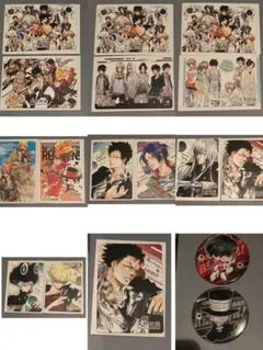 購入不可天野明展　リボーン　マグネットステッカー　缶バッジ　17点セット