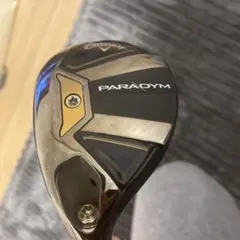 2025年最新】パラダイム ドライバー レフティの人気アイテム - メルカリ
