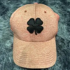 Item thumbnail for item ef58f84d-7694-49b9-a14c-00a7c28696db