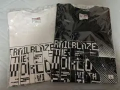 Item thumbnail for item 616234e7-e197-4326-8ced-eceff3c70e8f