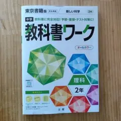 Item thumbnail for item e52ca9bb-c76e-4b2c-a65e-9baeb043ccb1