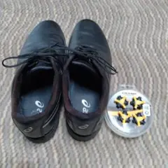 Item thumbnail for item 4b2ed8fb-a472-4fbb-b82c-eae4a79a7361