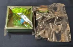 ポケモンフレーム 深緑の森 ミズゴロウ リーメント
